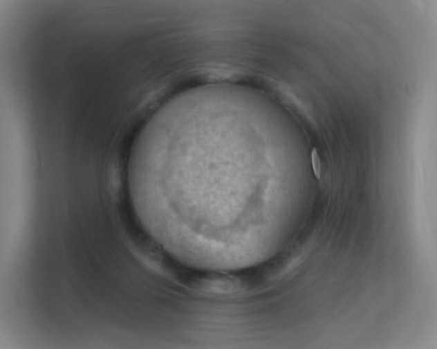 X0000112020215200908101409