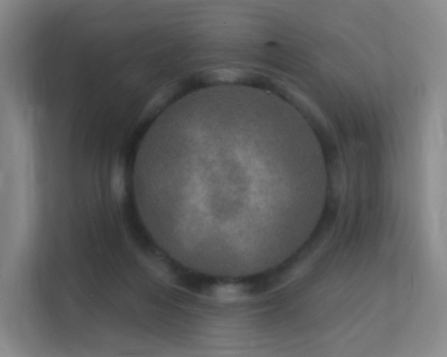 X0000112020216200908101409