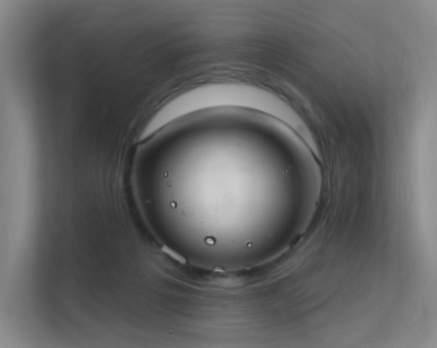 X0000112020217200908101409