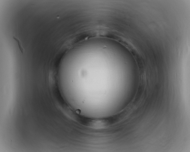 X0000112020218200908101409