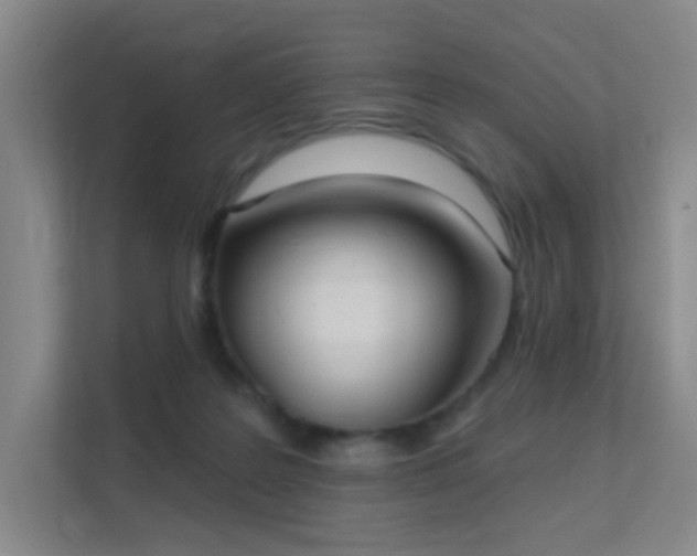 X0000112020219200908101409