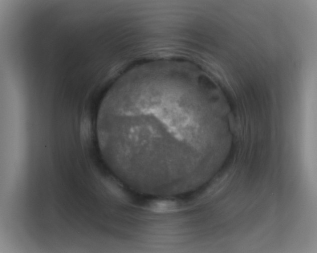 X0000112020220200908101409