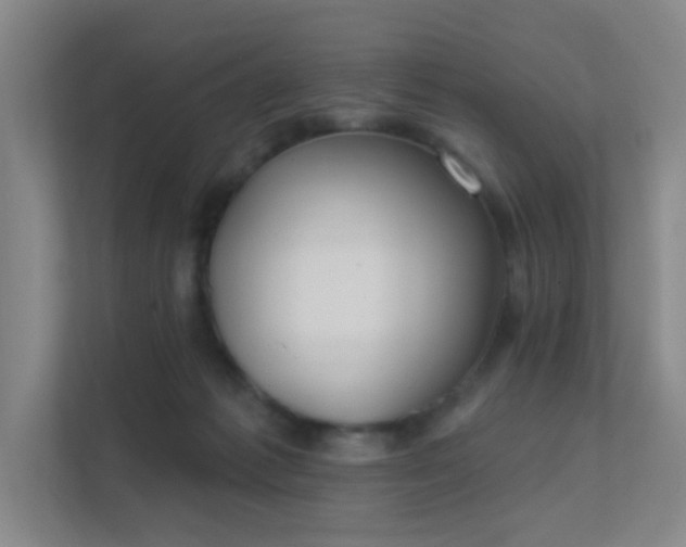 X0000112020221200908101409