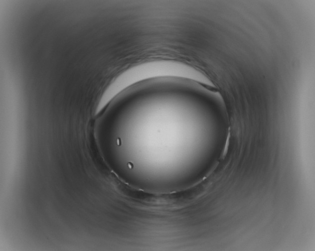 X0000112020223200908101409