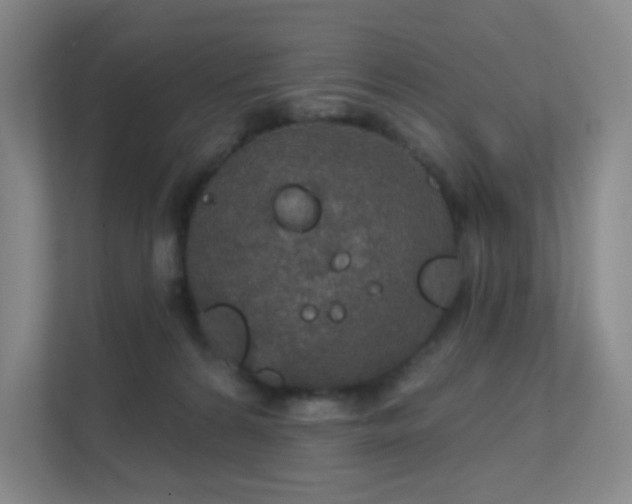 X0000112020224200908101409