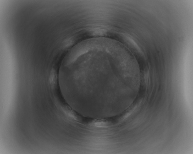 X0000112020228200908101409