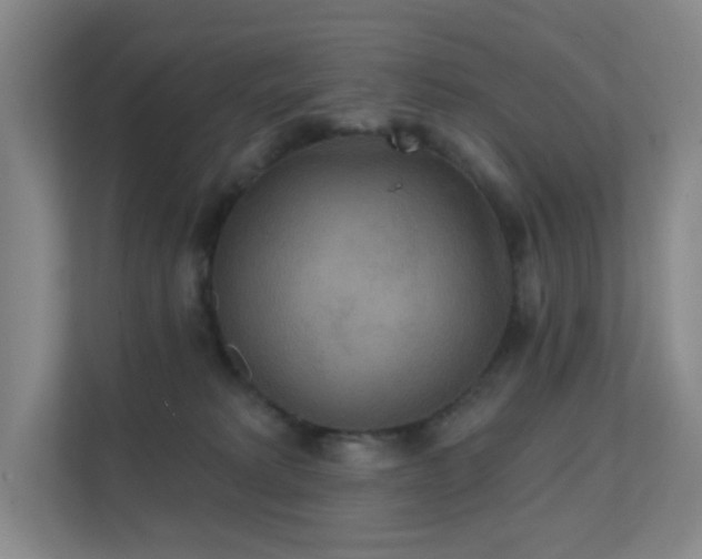 X0000112020229200908101409