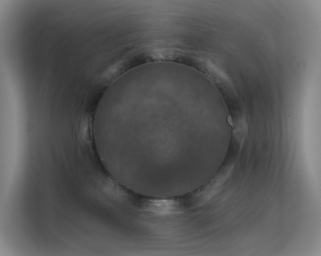 X0000112020233200908101409