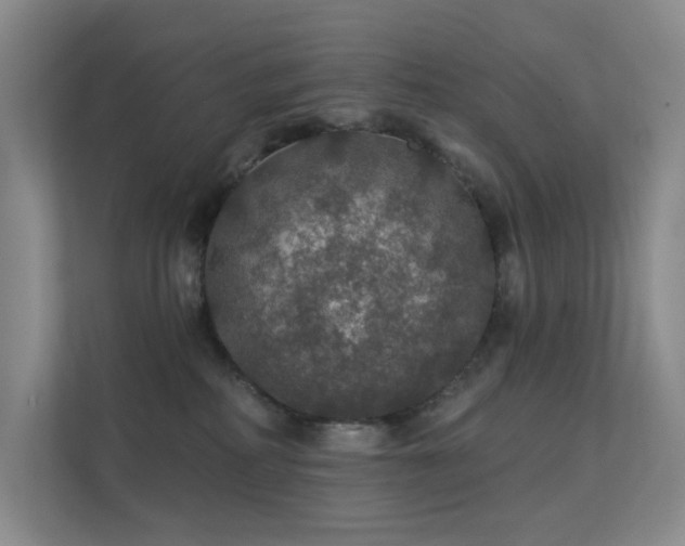 X0000112020234200908101409