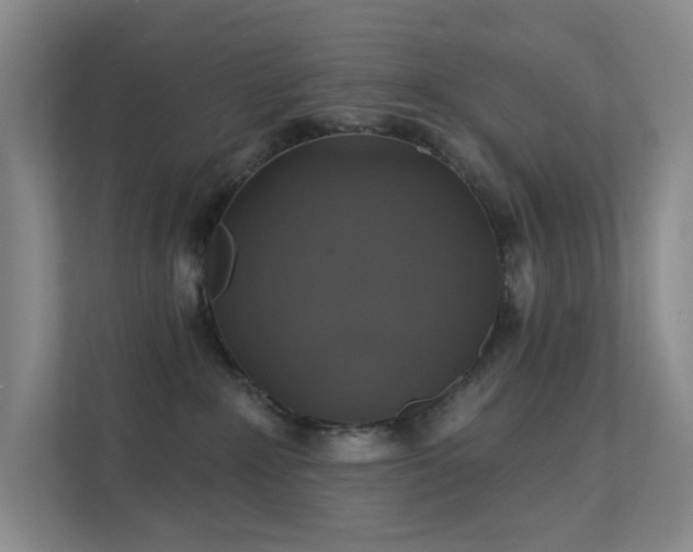 X0000112020235200908101409