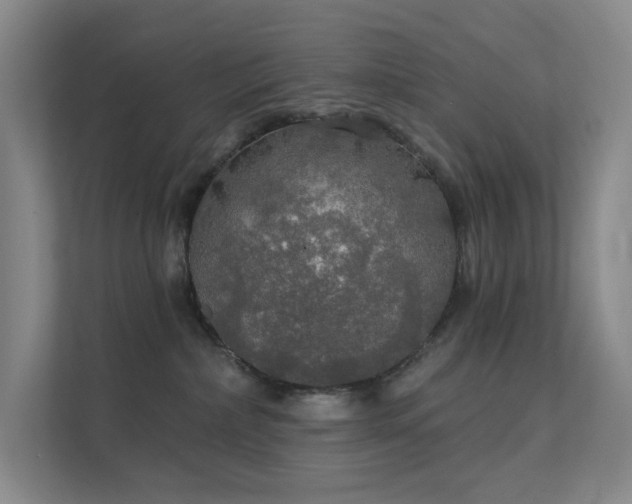 X0000112020236200908101409