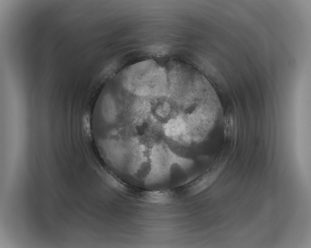 X0000112020238200908101409