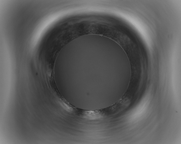 X0000112020239200908101409