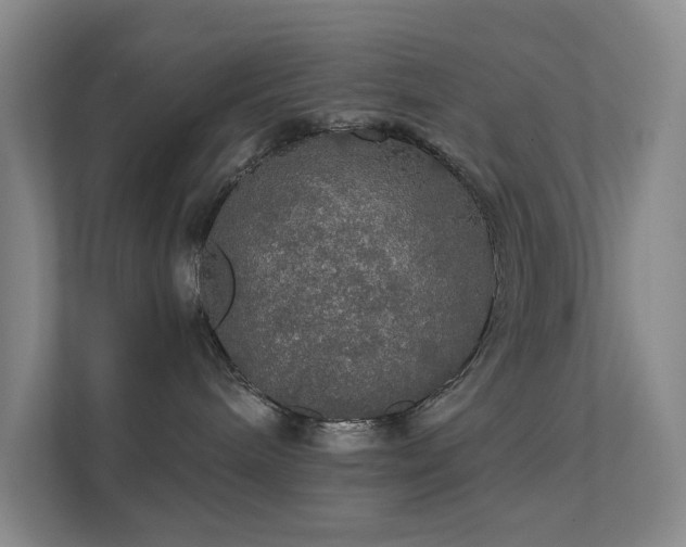 X0000112020240200908101409