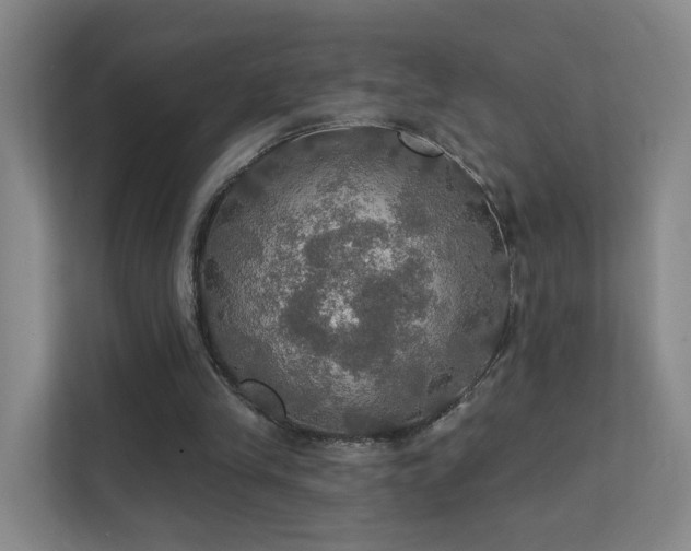 X0000112020245200908101408