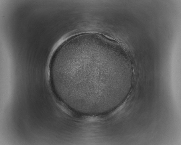 X0000112020246200908101408