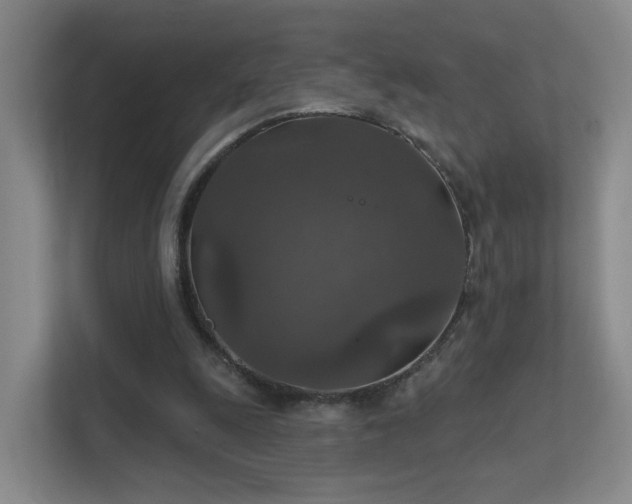 X0000112020247200908101408