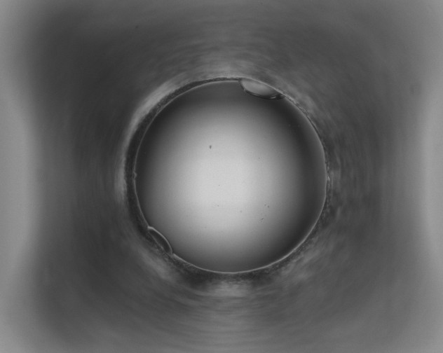 X0000112020248200908101408