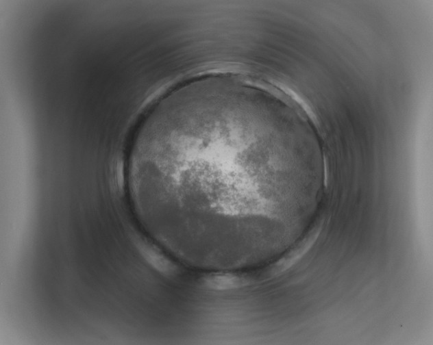 X0000112020253200908101408