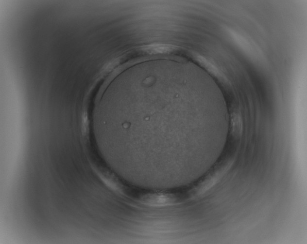 X0000112020254200908101408