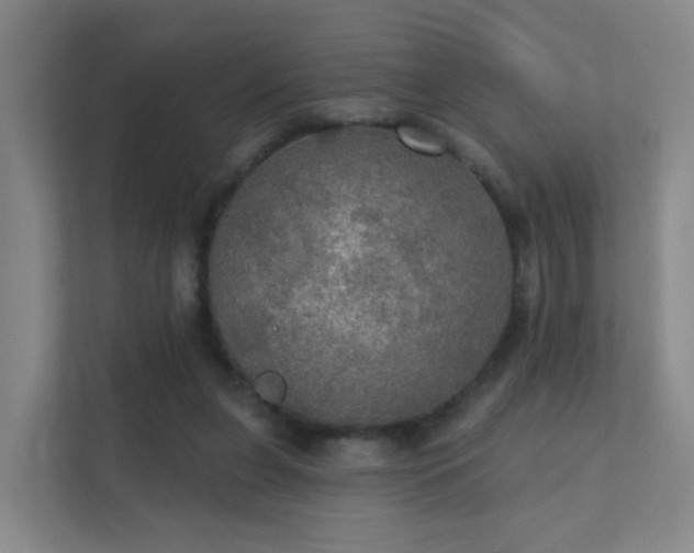 X0000112020255200908101408