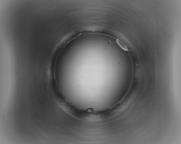 X0000112020256200908101408