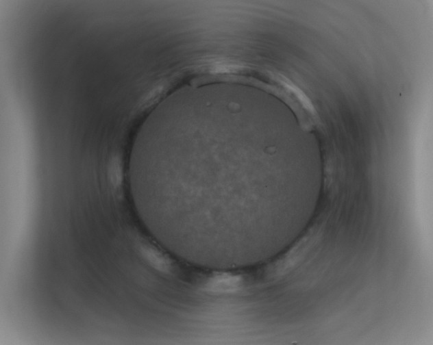 X0000112020257200908101408