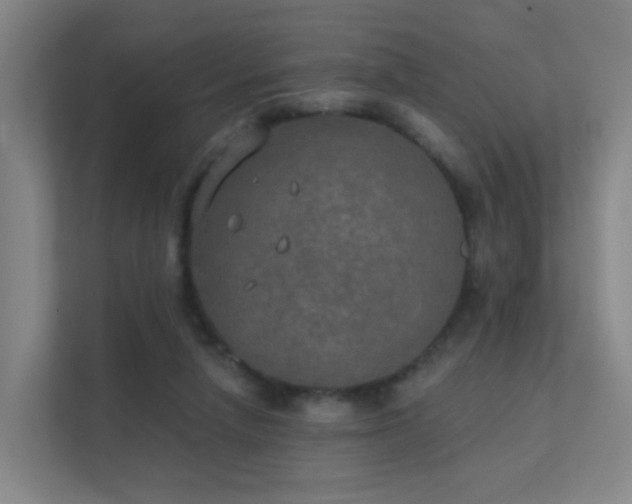 X0000112020258200908101408