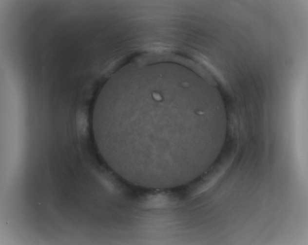 X0000112020259200908101408