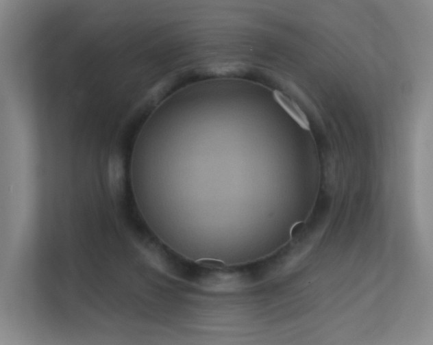 X0000112020260200908101408