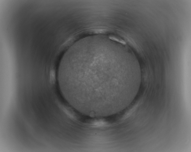 X0000112020262200908101408