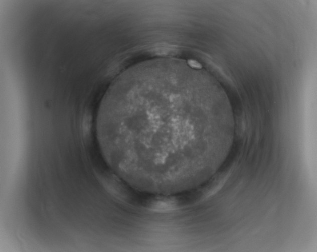 X0000112020263200908101408