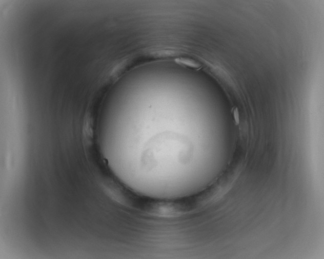 X0000112020264200908101408