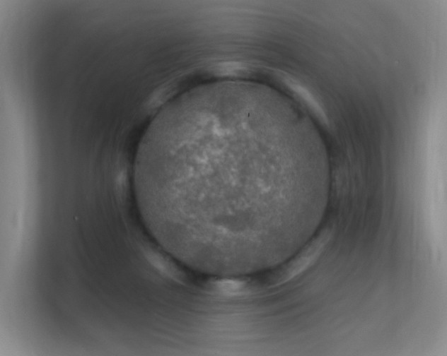 X0000112020265200908101408