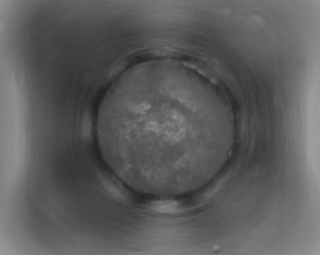 X0000112020266200908101408