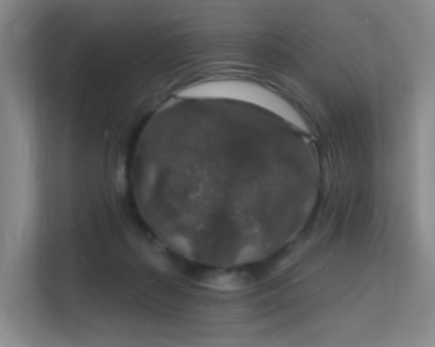 X0000112020267200908101408