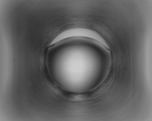 X0000112020268200908101408