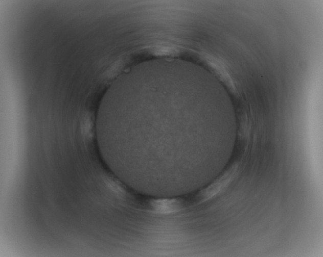 X0000112020273200908101408