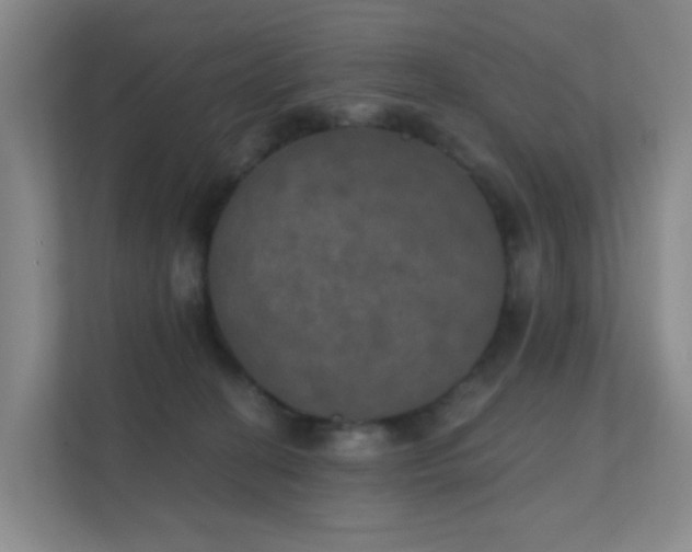 X0000112020274200908101408