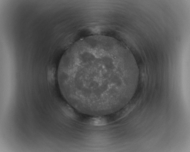 X0000112020275200908101408