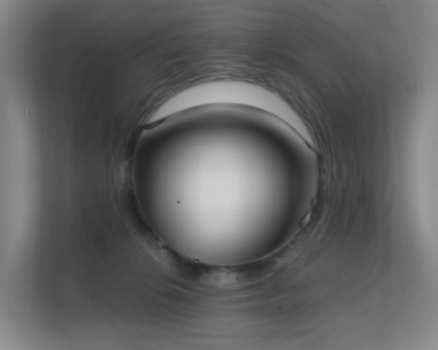 X0000112020276200908101408