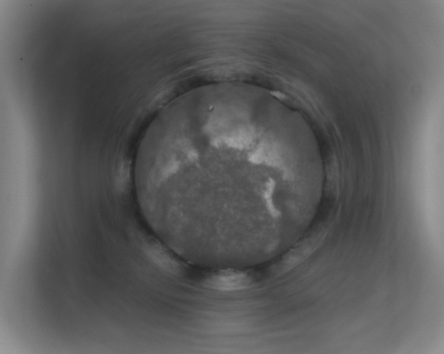 X0000112020278200908101408