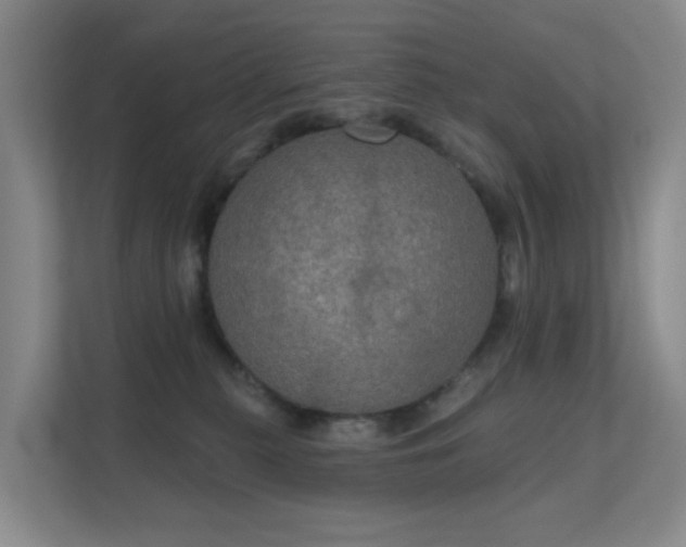 X0000112020279200908101408