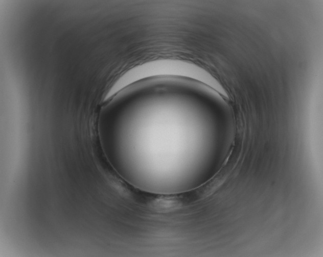 X0000112020280200908101408