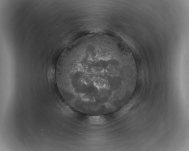 X0000112020281200908101408