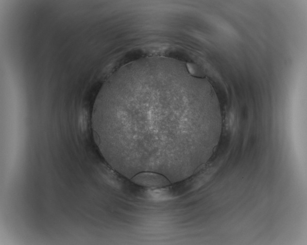 X0000112020283200908101408