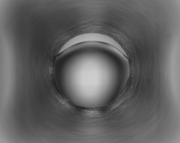 X0000112020284200908101408