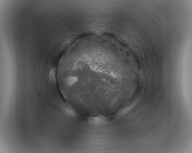 X0000112020286200908101409