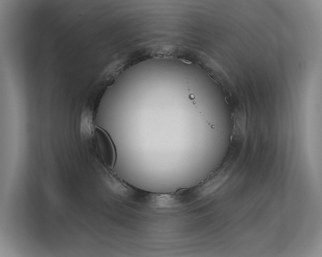 X0000112020287200908101409