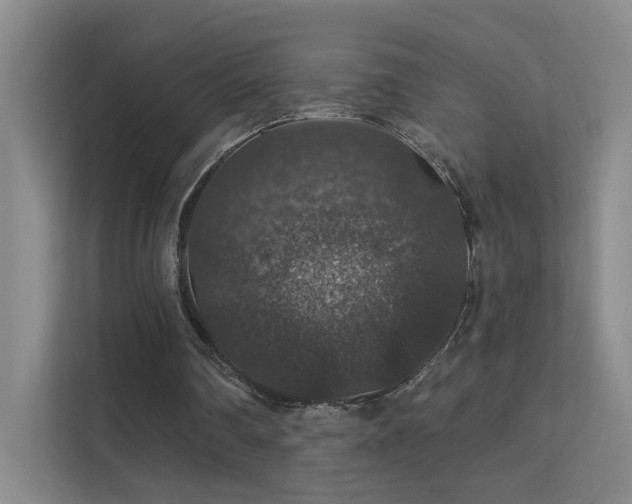 X0000112020290200908101408